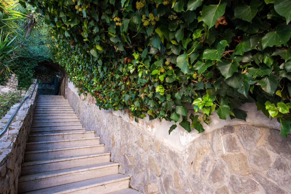 Sorrento 2