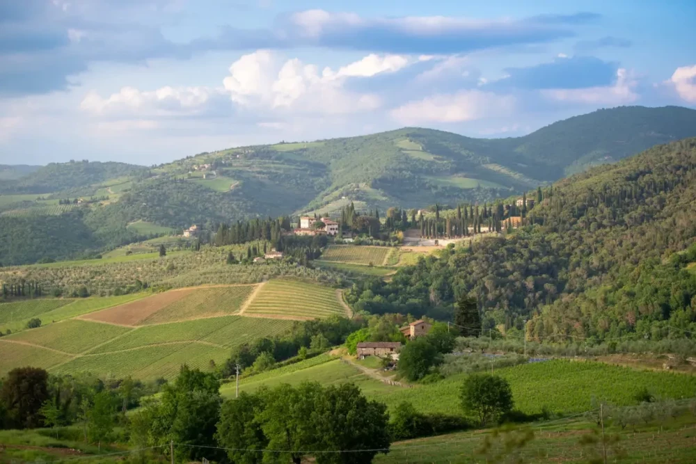 Villa Davinia