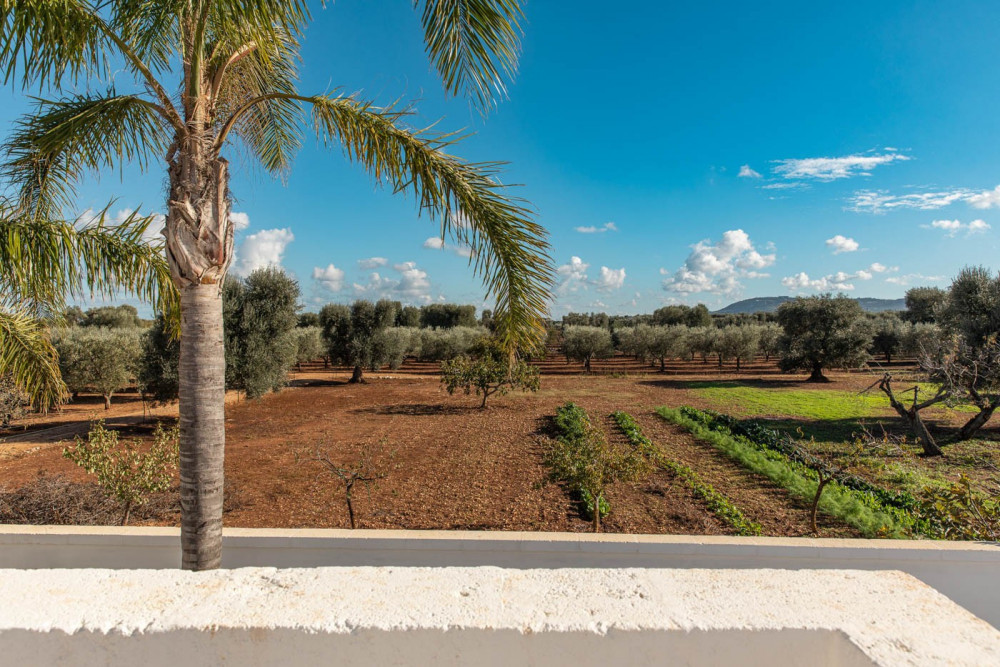 Puglia 129