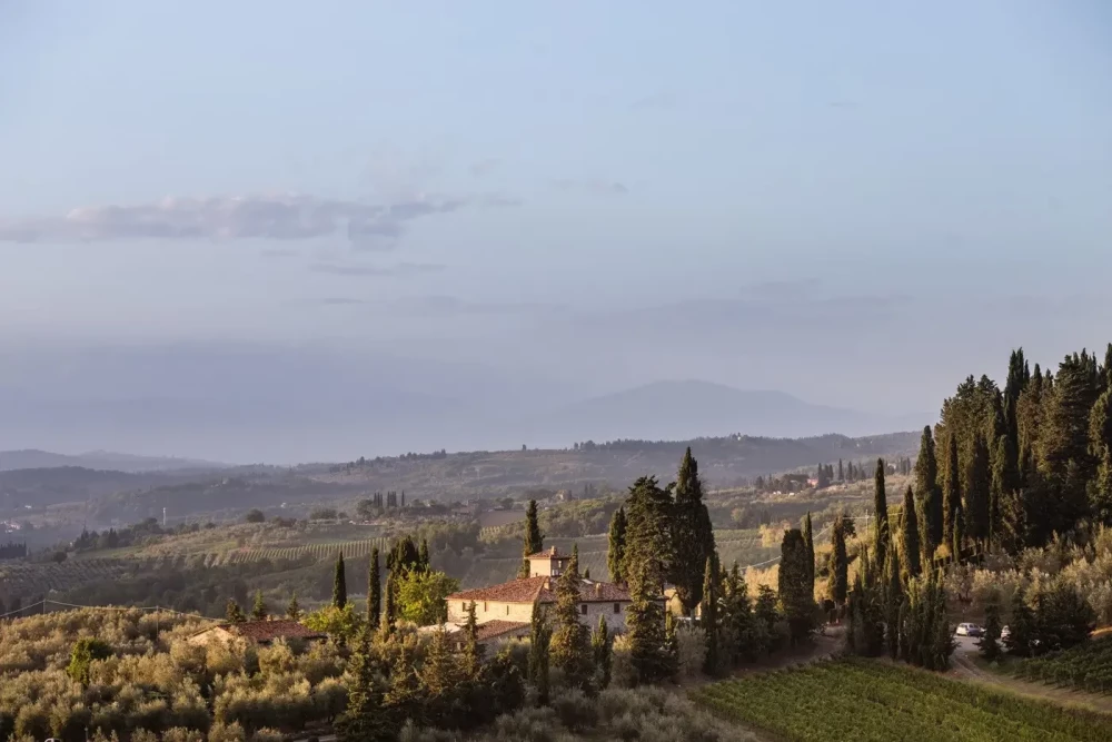 Greve in Chianti 1