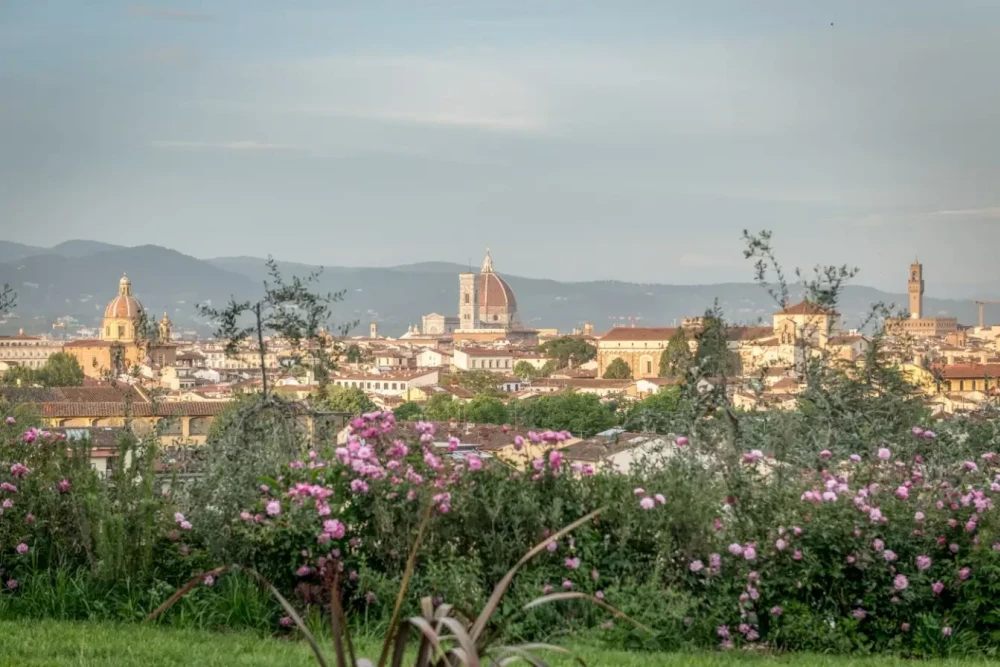 Florence 17