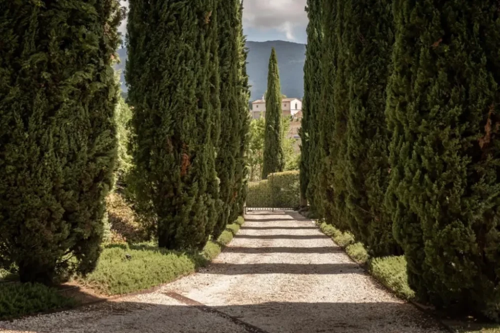 Perugia 6