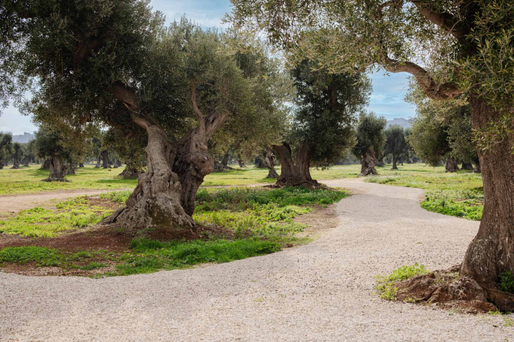 Puglia 123
