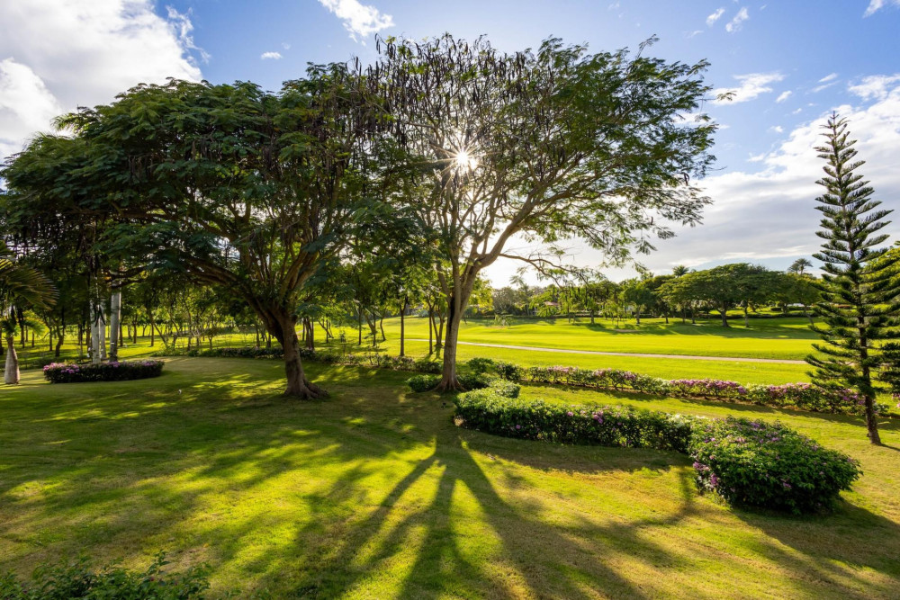 Casa de Campo 203