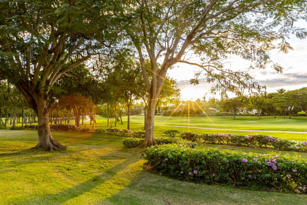 Casa de Campo 203