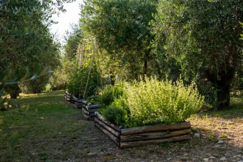 Villa Vinia