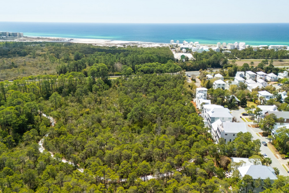 Inlet Beach 47