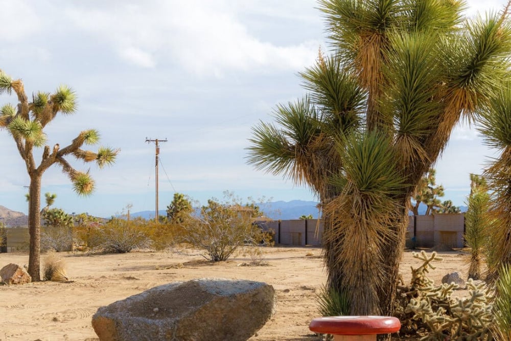 Yucca Valley 36