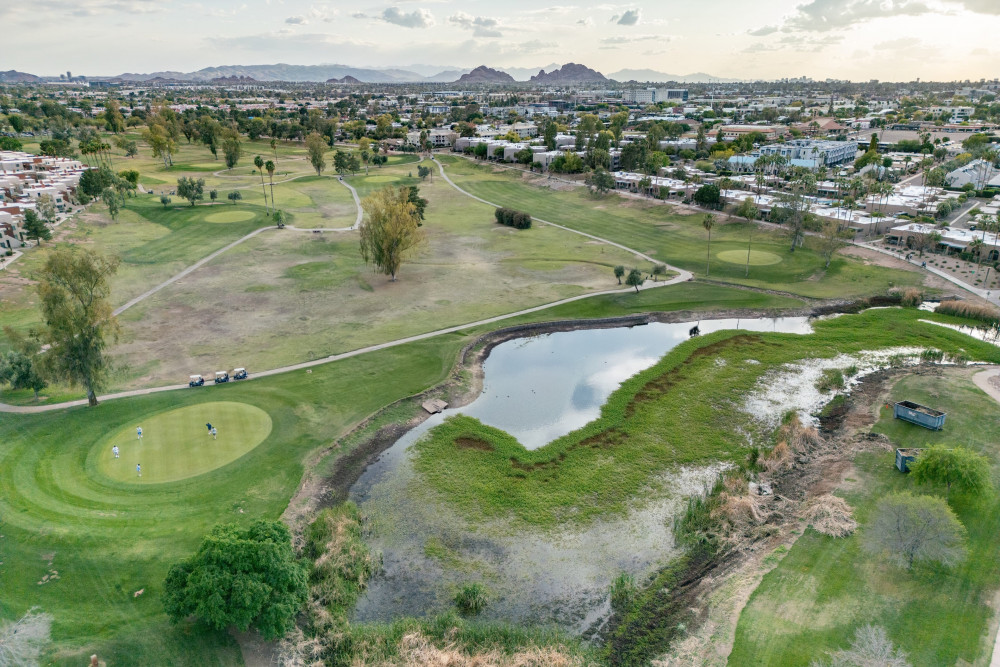 Scottsdale 397