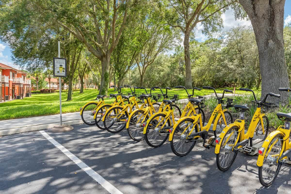 Emerald Island Resort 68