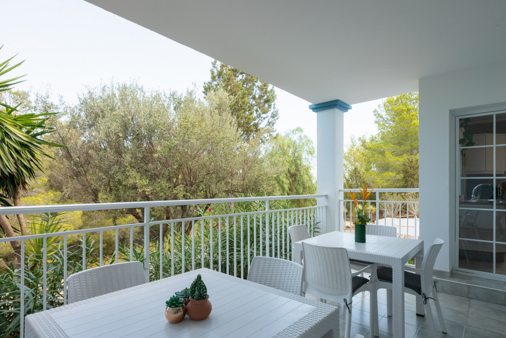 Ibiza 3