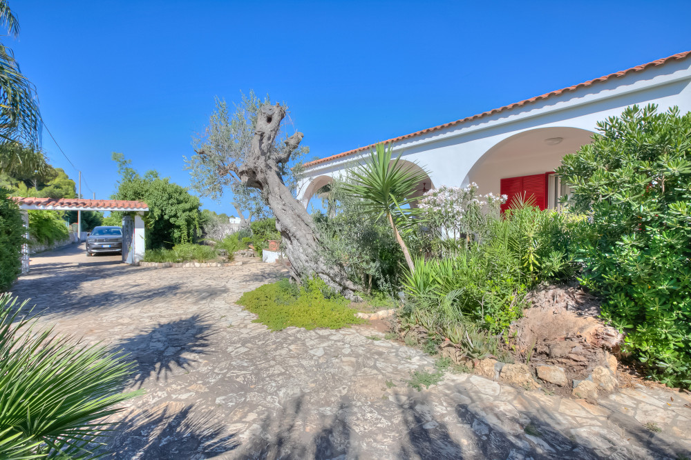 Puglia 46