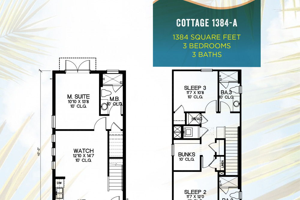 Margaritaville 621