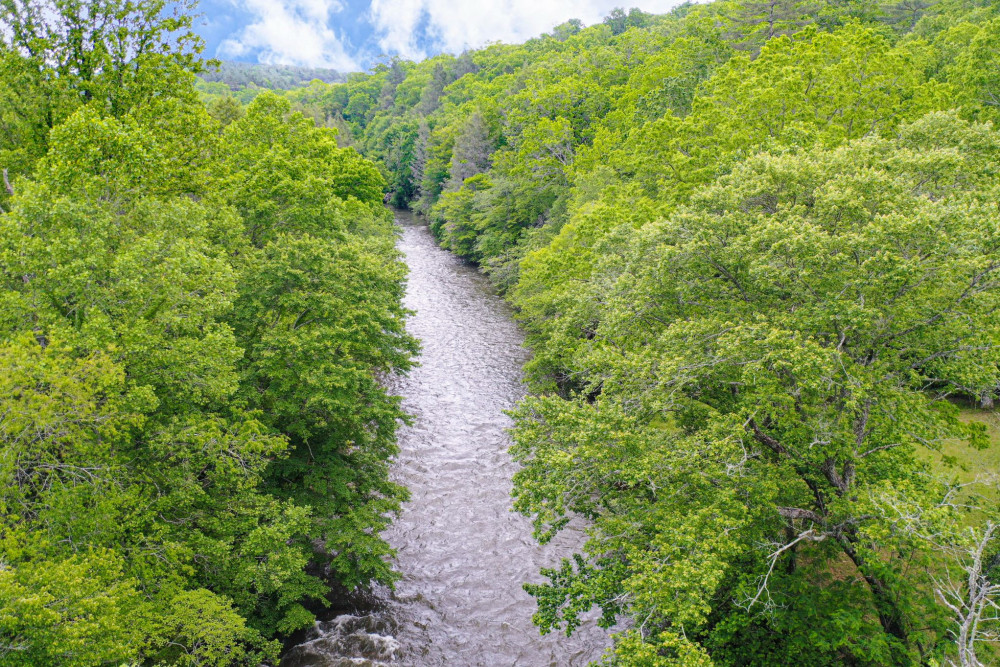 Blue Ridge 58