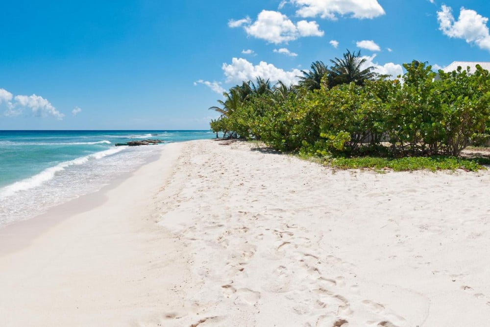 Palm Beach - Unit 111