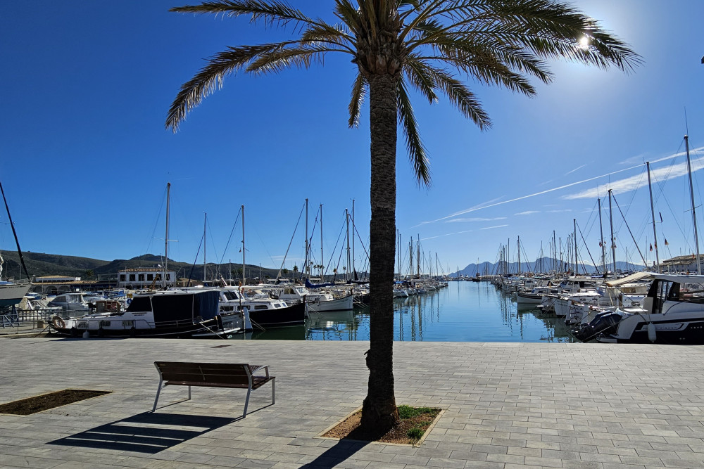 Puerto Pollensa 11