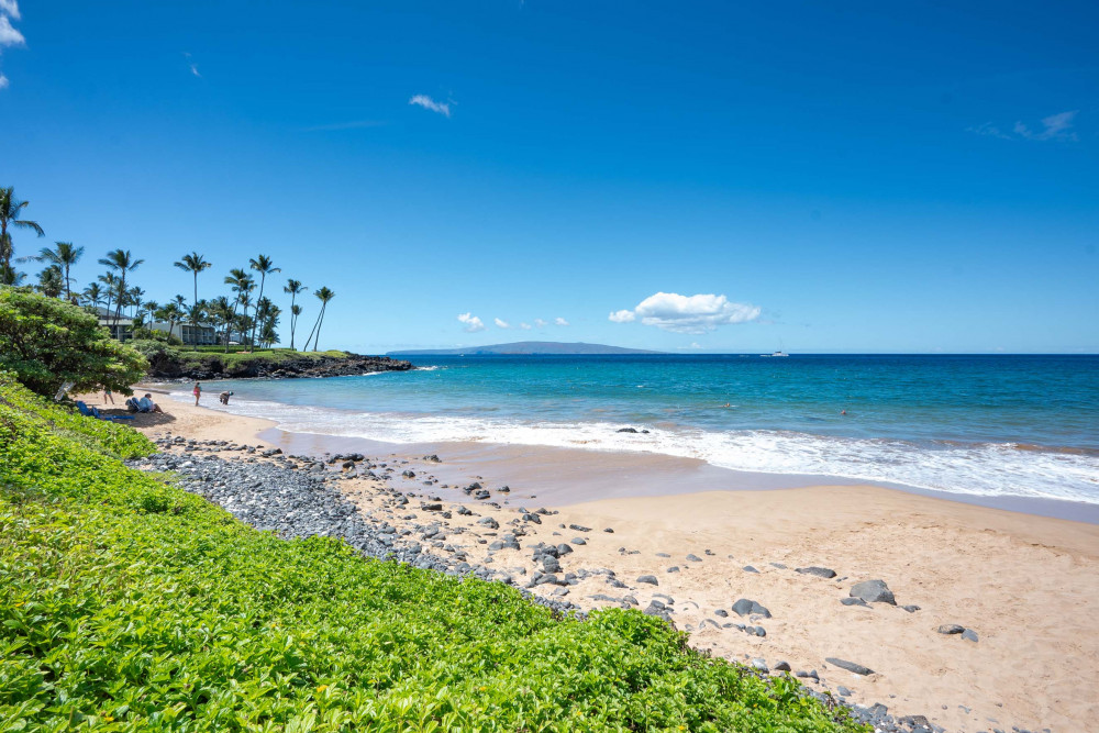 Maui 35