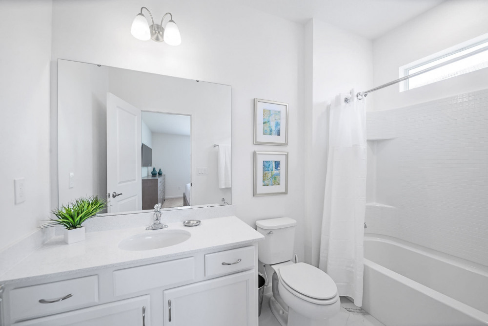 Veranda Palms 60