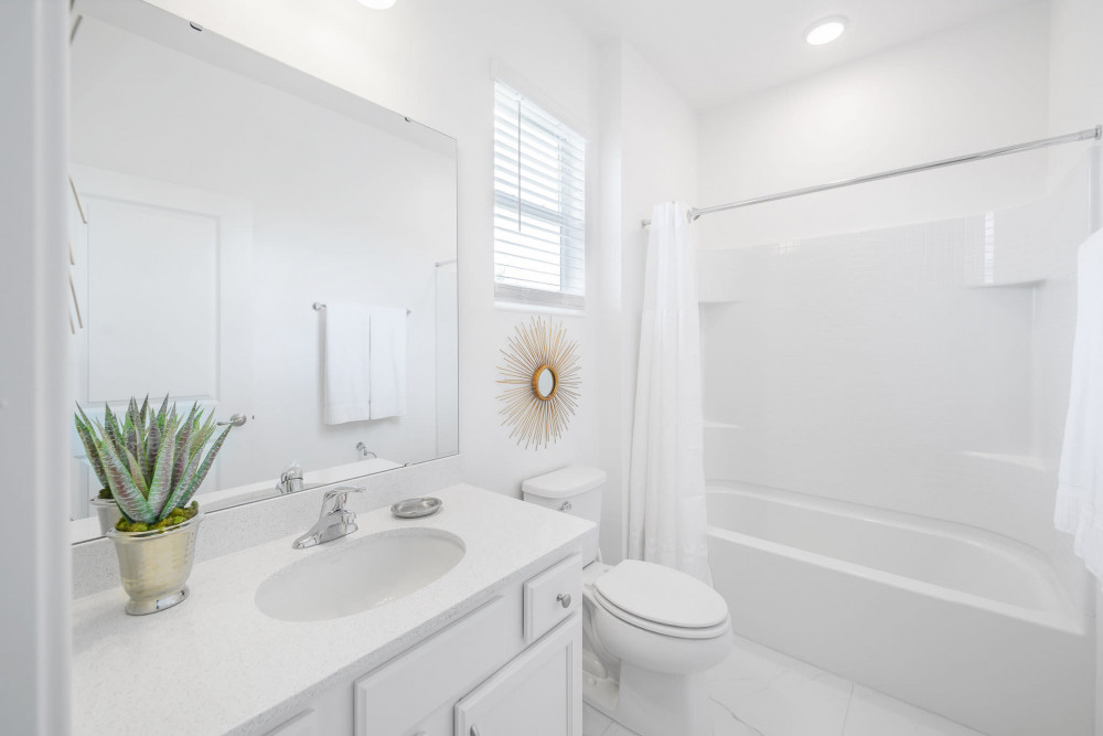 Veranda Palms 60