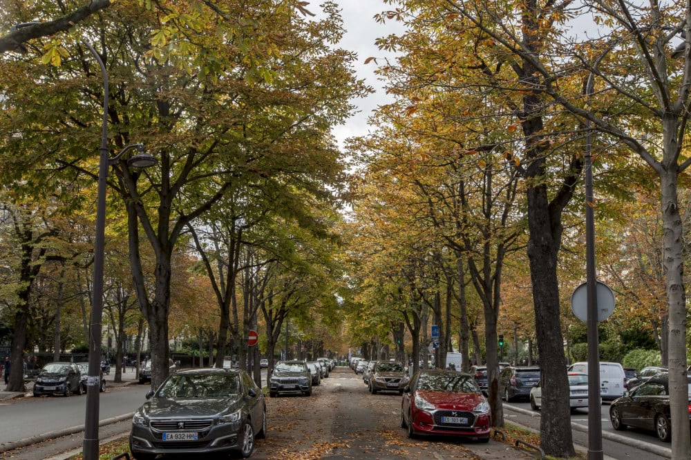 Enchanting Murals by Trocadero Gardens