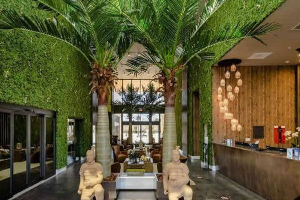 Magic Village Views 26