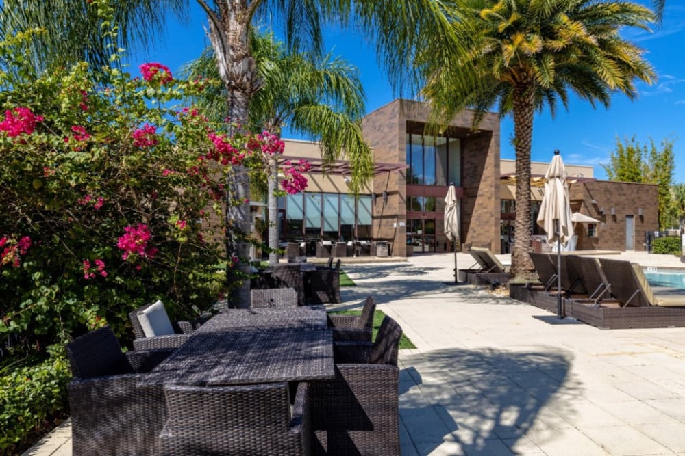 Magic Village Yards 12