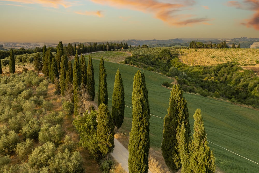 Podere Casanovina 12