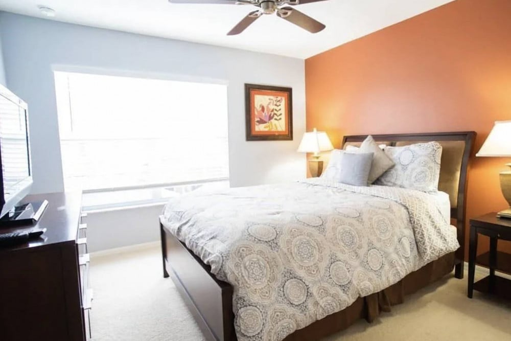 Paradise Palms Resort 107