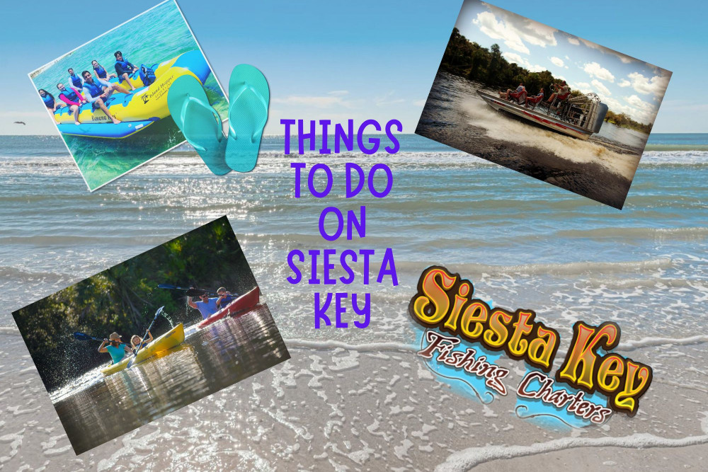 Siesta Key 212
