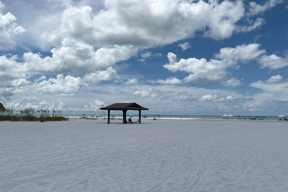 Siesta Key 174