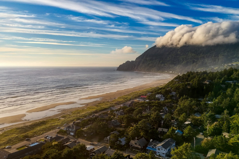 Manzanita 5