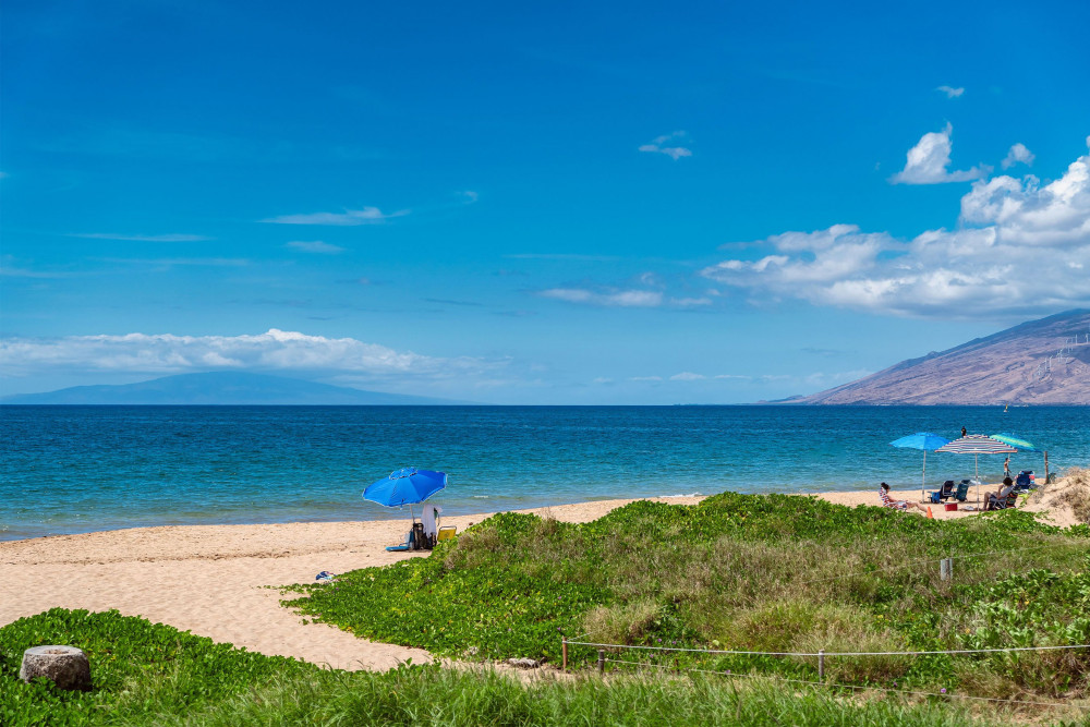Maui 144