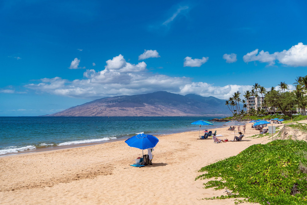 Maui 144