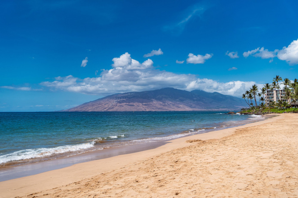 Maui 144