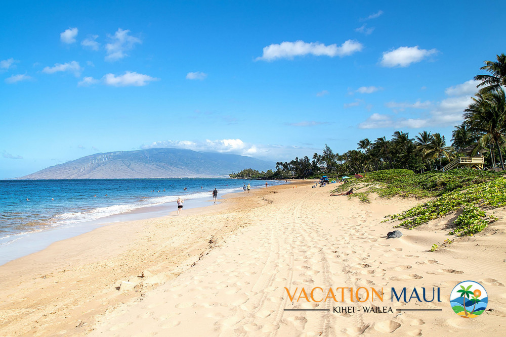Maui 144