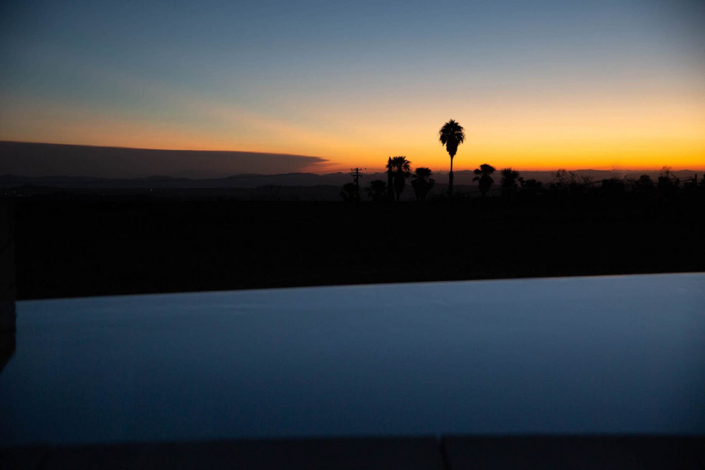 Joshua Tree 73