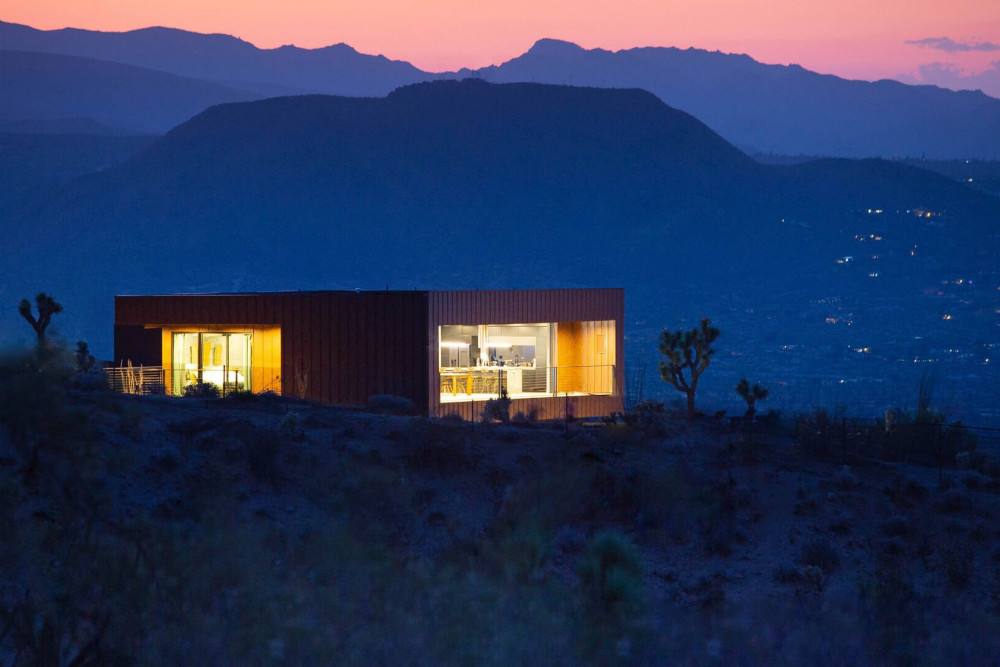 Joshua Tree 71