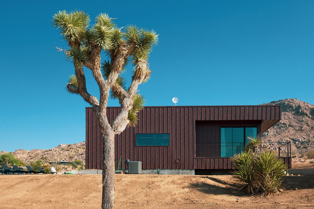 Joshua Tree 71