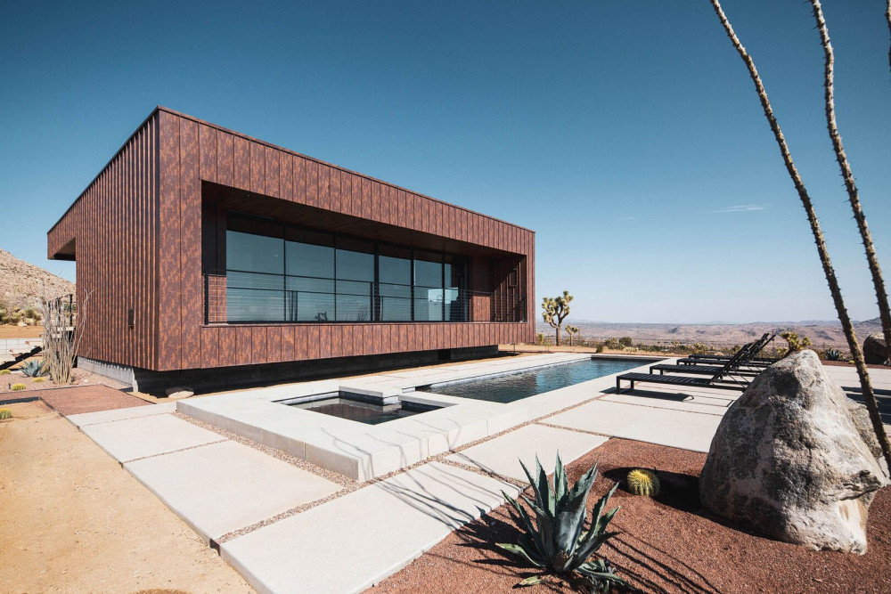 Joshua Tree 71