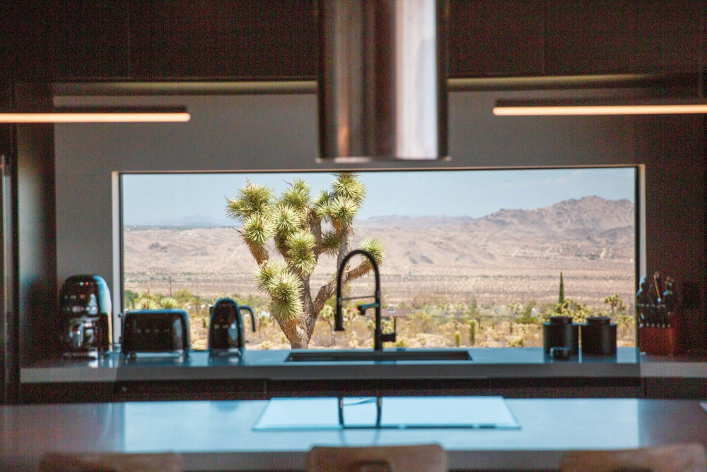 Joshua Tree 71