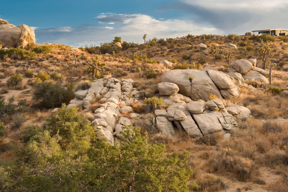 Pioneertown 7