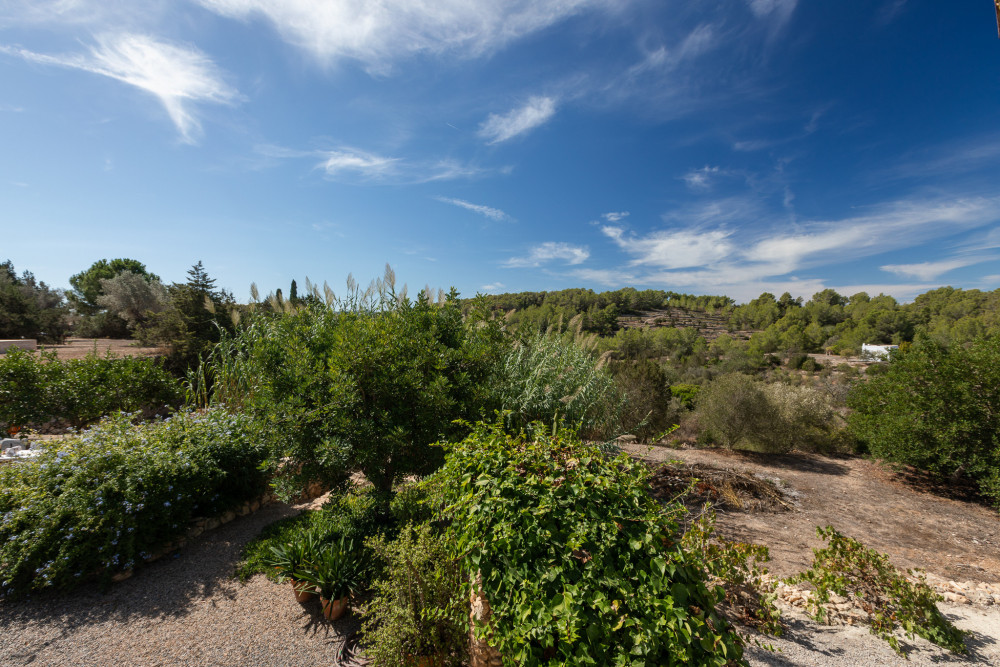 Ibiza 29
