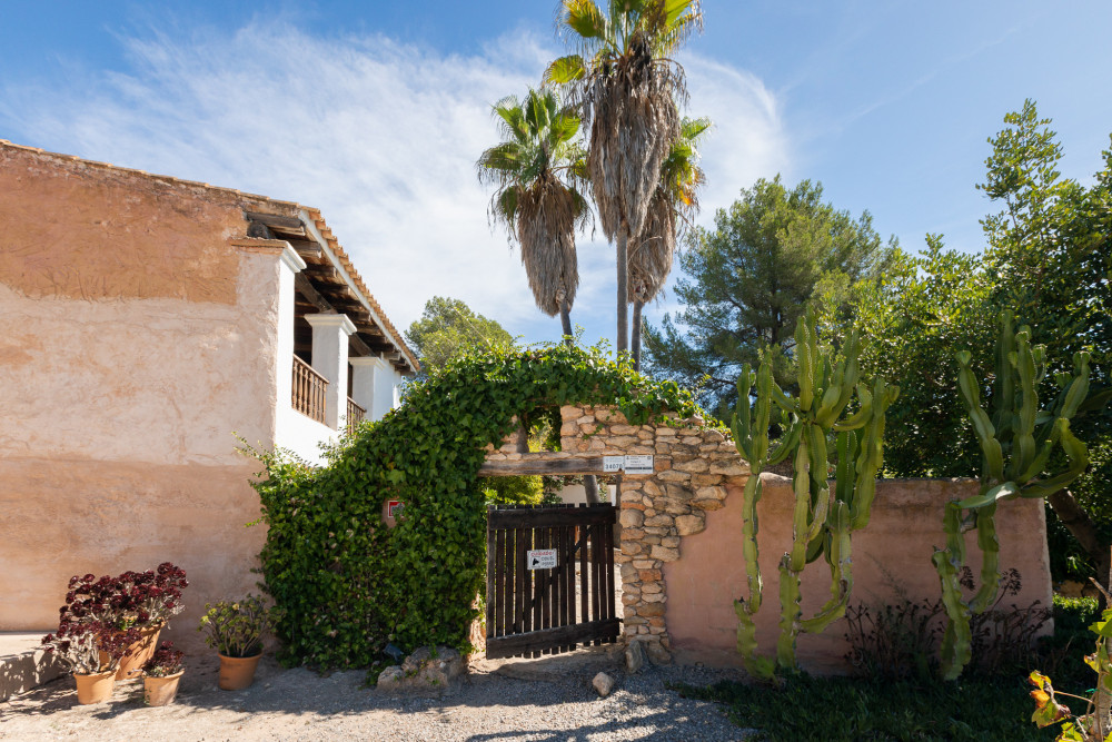 Ibiza 29