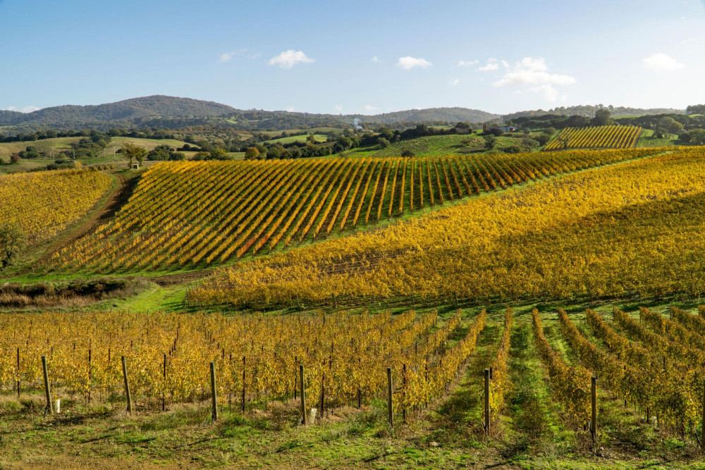 Tuscany 43