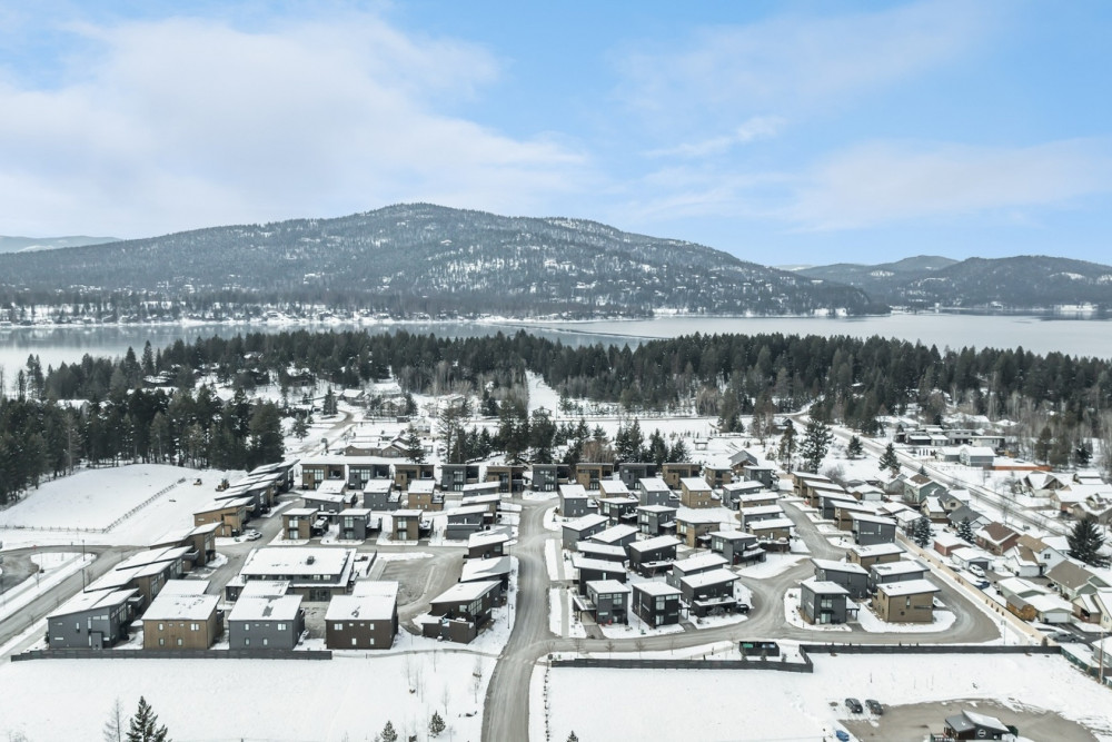 Whitefish 38