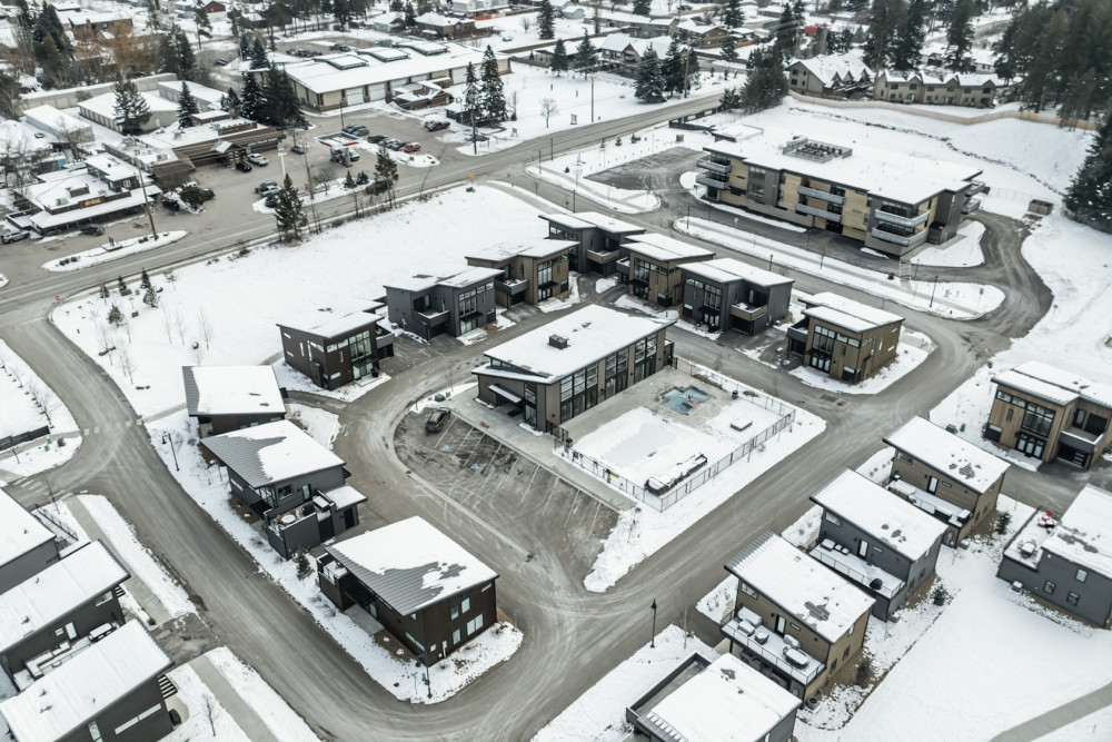 Whitefish 38