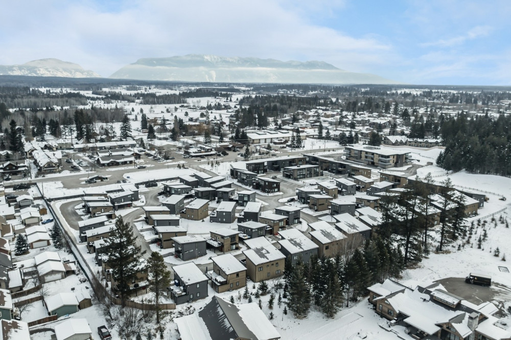 Whitefish 38