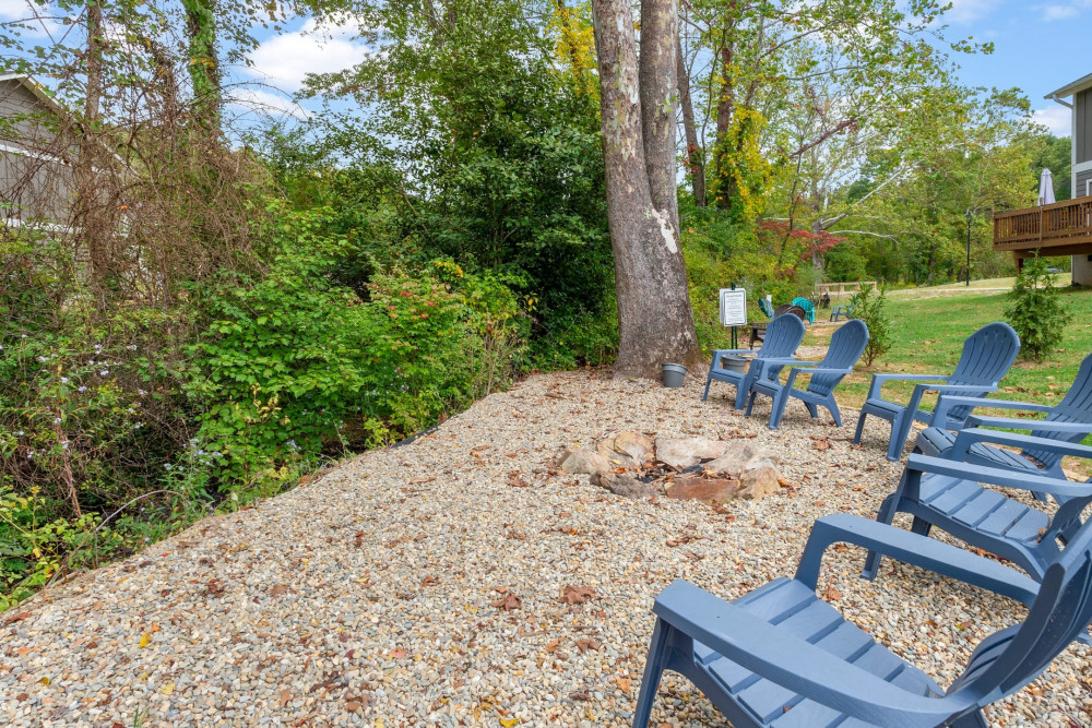 Asheville 41