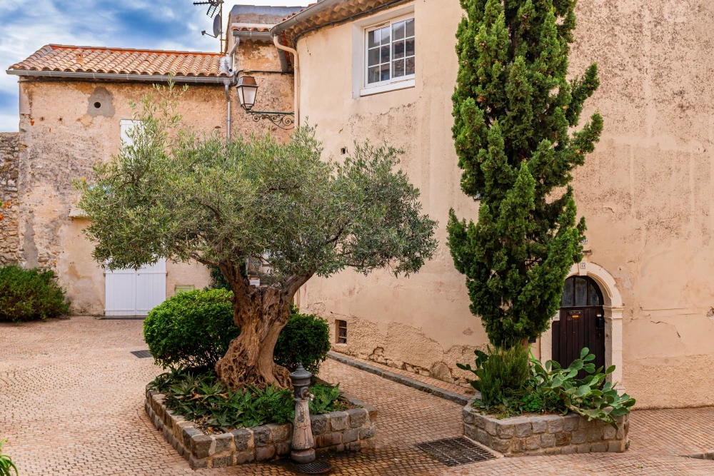 Le Castellet 1