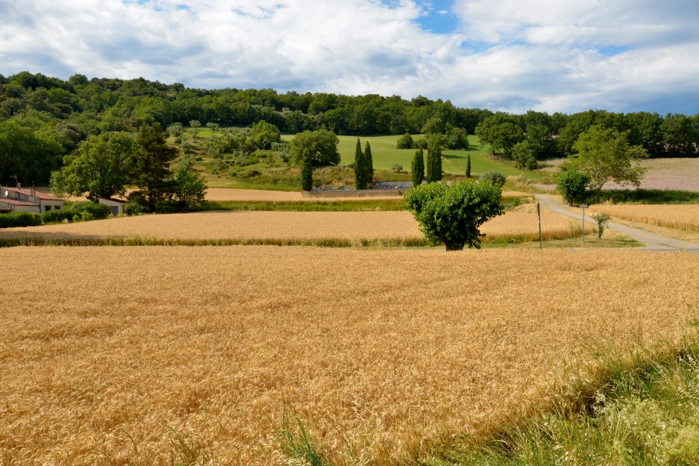 Le Castellet 1